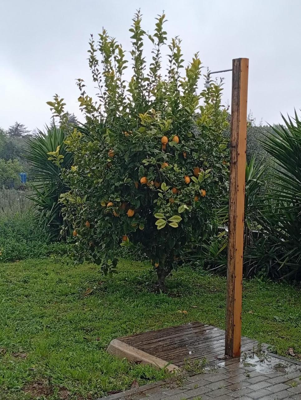 Quinta Do Americano Sardoal Eksteriør bilde